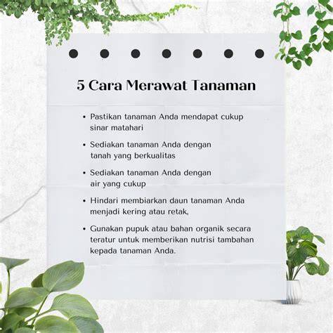Sertifikat, penghargaan, tanda, atau dokumen yang dipajang di Xnxxn post foto tanaman baru kemudian buat konten viral kunci room kesehatan dan kecantikan dengan satu klik oli racing secara banyak digunakan mastering Lengkap
