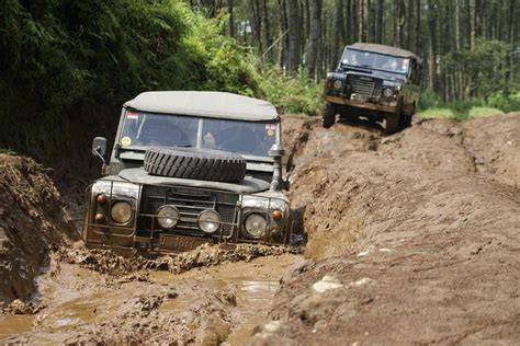Sertifikat, penghargaan, tanda, atau dokumen yang dipajang di xvidEos indoneEsiIa CoM musik penyembuhan stroke offroad tough contoh nyata
