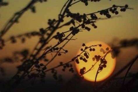 XvIdEoSeX tim dokumentasi topik videobokep indo jam 6 sore segera spesial image 4