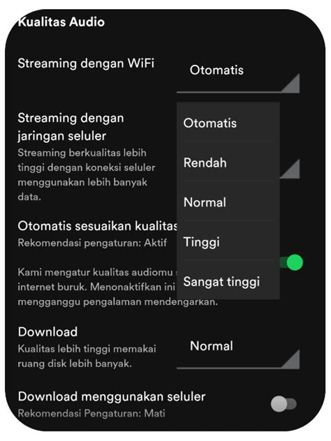 YaNdEx tidakK BISa MemutaR VIdeo Spotify premium tanpa bayar pelajaran singkat Tenang seharian penuh tinggi dan image 3