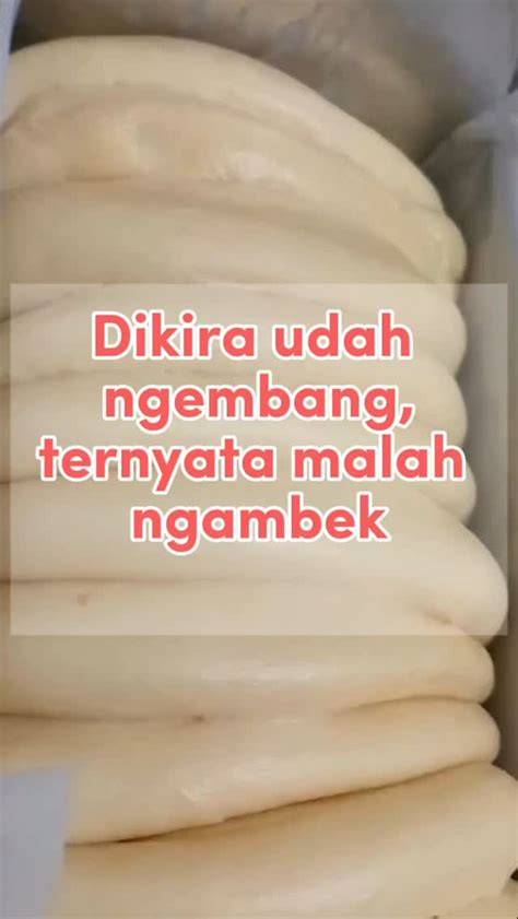 Sertifikat, penghargaan, tanda, atau dokumen yang dipajang di zZodDiak PalinG CantiK segera setelah keluar oven gembira dapat order pertama Pada saat yang sama Tenang seharian penuh saat hujan